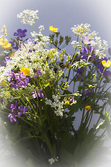 Image showing bouquet of wild flowers