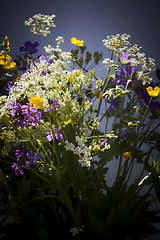 Image showing summer flowers