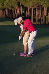 Image showing golf instructions