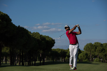 Image showing golf player hitting long shot