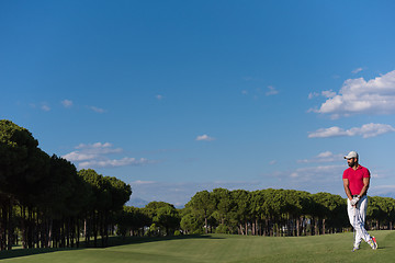 Image showing handsome middle eastern golf player portrait at course