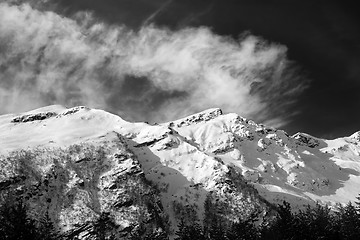 Image showing Black and white view on off-piste ski slope at sun windy day