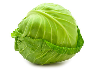 Image showing Cabbage 