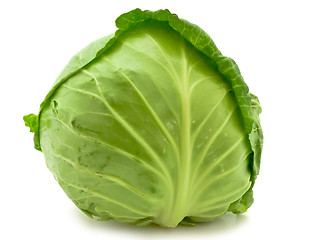 Image showing Cabbage 