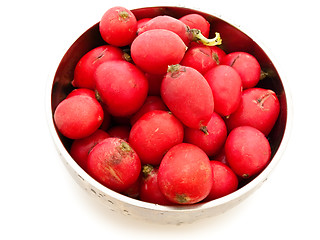 Image showing Radish 