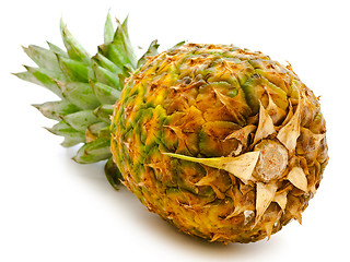 Image showing Pineapple 