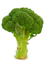 Image showing Broccoli 