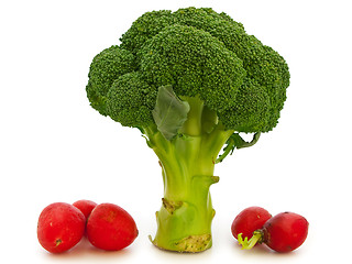 Image showing Broccoli And Red Radish