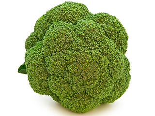 Image showing Broccoli 