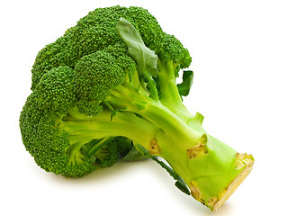 Image showing Broccoli 