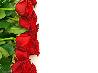 Image showing Red Roses