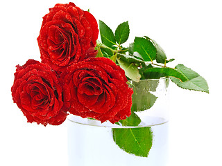 Image showing Roses 