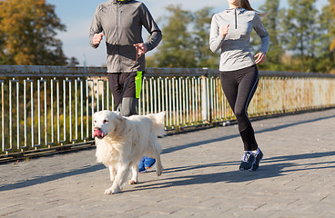 Image showing close up of couple with dog running outdoors