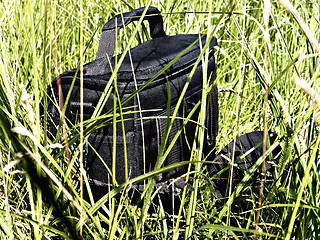 Image showing Bag In The Grass