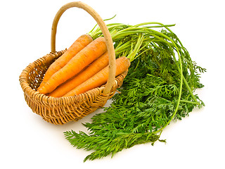 Image showing Carrots In A Basket