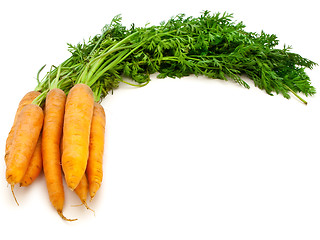 Image showing Carrot 