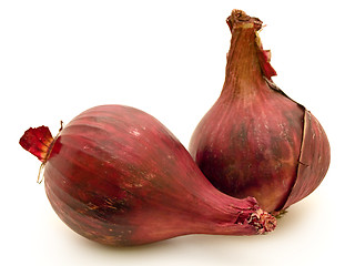 Image showing Red Onion