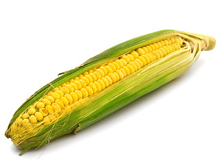 Image showing Ear Corn 