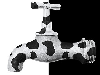 Image showing Cow Tap