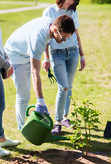 Image showing group of volunteers planting and watering tree