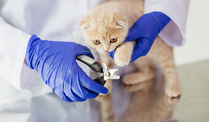 Image showing close up of vet with clipper cutting cat nail