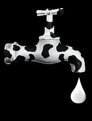 Image showing cow tap with milk