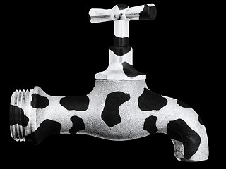 Image showing Cow Tap