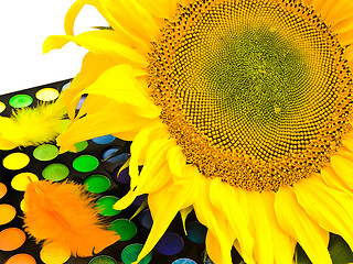 Image showing Sunflower 