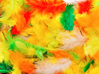 Image showing Colors Feathers 