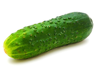 Image showing Cucumber 