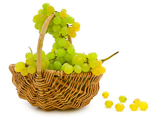 Image showing Grape In Basket