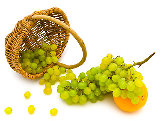 Image showing Grape And Orange