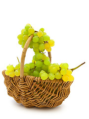 Image showing Grape In Basket