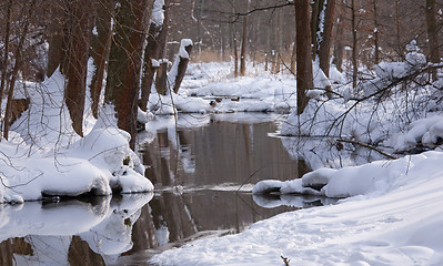 Image showing Slow flowing water in winter