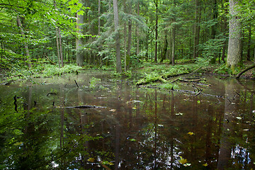 Image showing Summertime water in stand