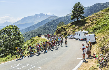 Image showing The Peloton on Col d'Aspin - Tour de France 2015