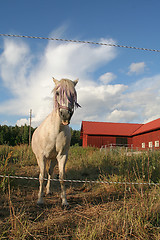 Image showing Behind the fence