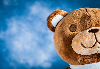 Image showing Lovely Teddy Bear