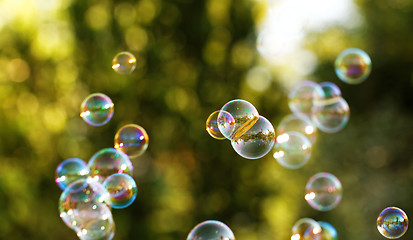 Image showing Soap bubbles