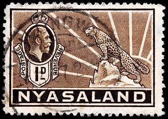 Image showing African Leopard Stamp