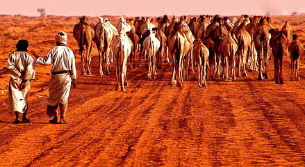 Image showing Caravan in the desert