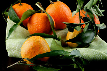 Image showing Ripe Tangerines with Leafs