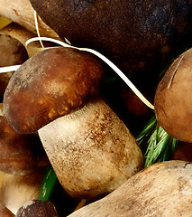 Image showing Background of Porcini Mushrooms 