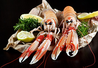 Image showing Delicious Raw Langoustines