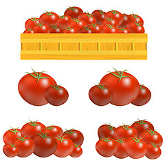 Image showing Set of Fresh Red Tomatoes