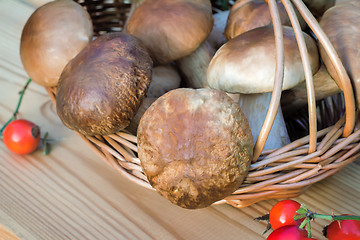Image showing White strong mushrooms in a basket on the table surface