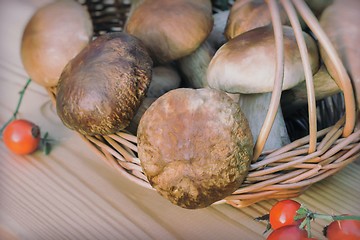 Image showing White strong mushrooms in a basket on the table surface