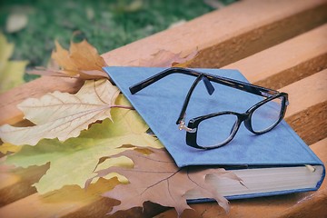 Image showing Books, glasses and fallen leaves on a Park bench.