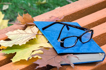 Image showing Books, glasses and fallen leaves on a Park bench.