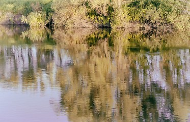 Image showing The autumn wood on the bank of the big beautiful lake